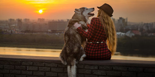 Alleinstehend mit Hund – Wie du den Alltag gut organisierst