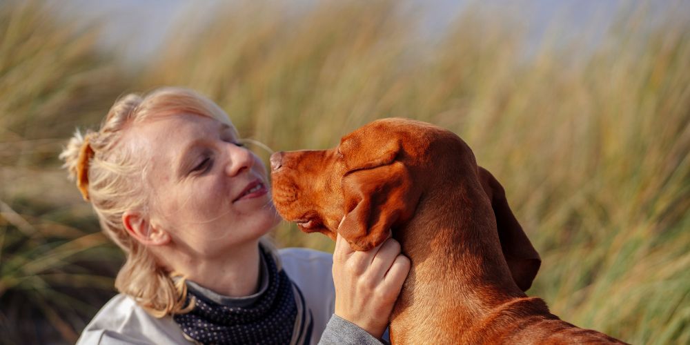 Warum dein Hund dich ableckt – Bedeutung & Missverständnisse