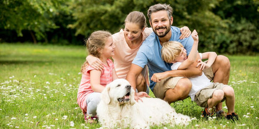Hund und Kinder: Worauf Familien achten sollten