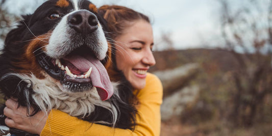 Wie gewöhne ich meinen Hund an einen Mantel?🐕🧥