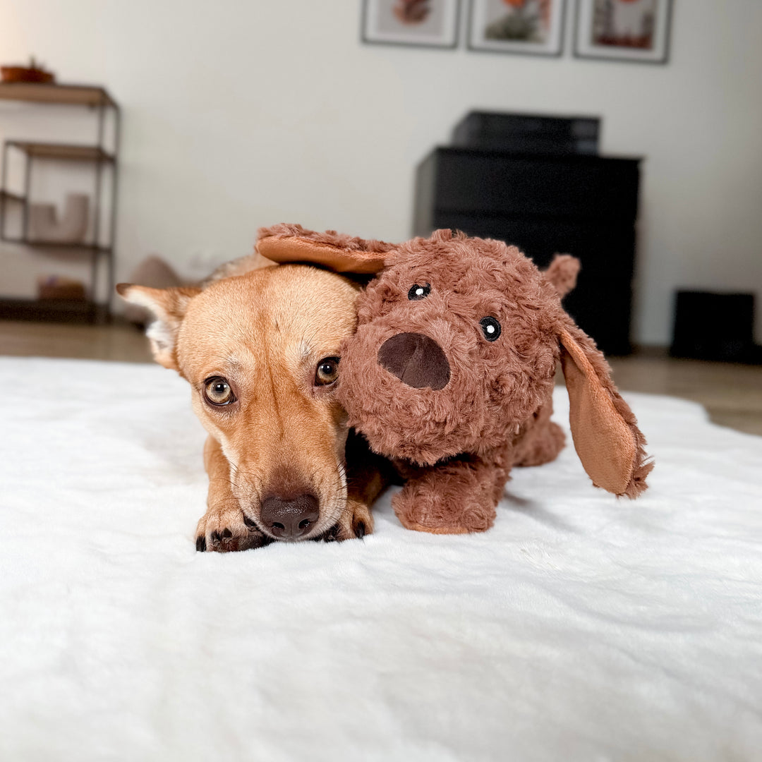 Hundespielzeug Kuschelhund