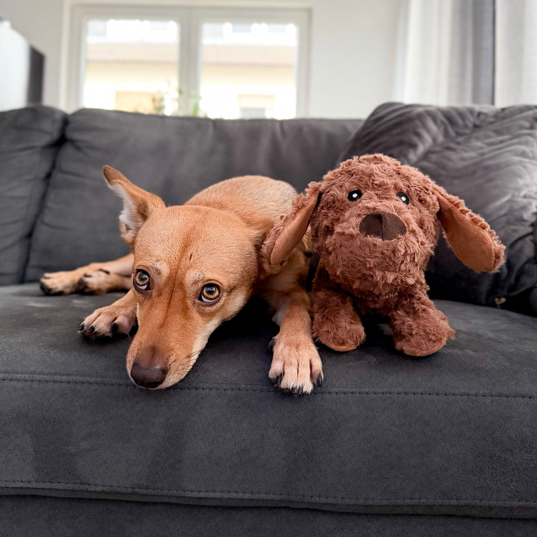 Hundespielzeug Kuschelhund