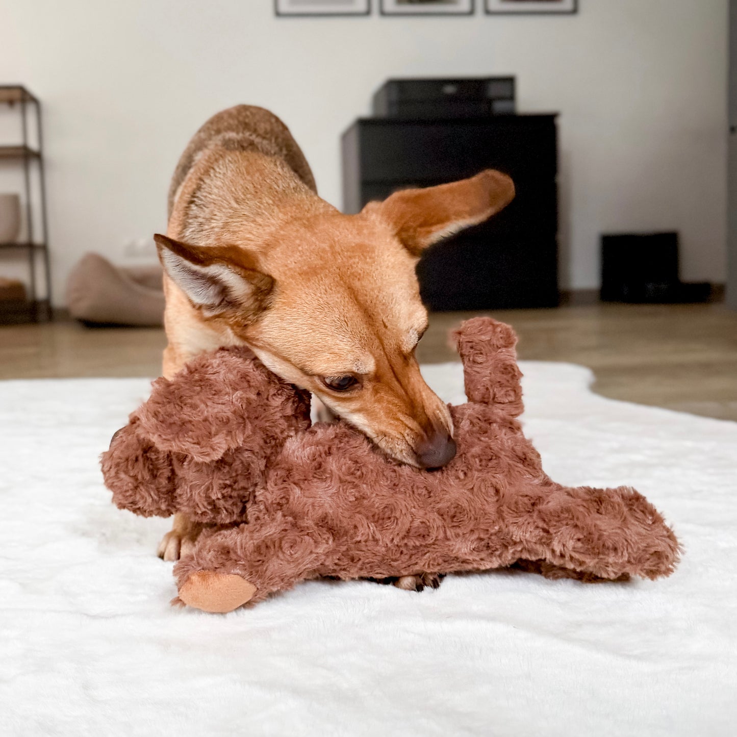 Hundespielzeug Kuschelhund