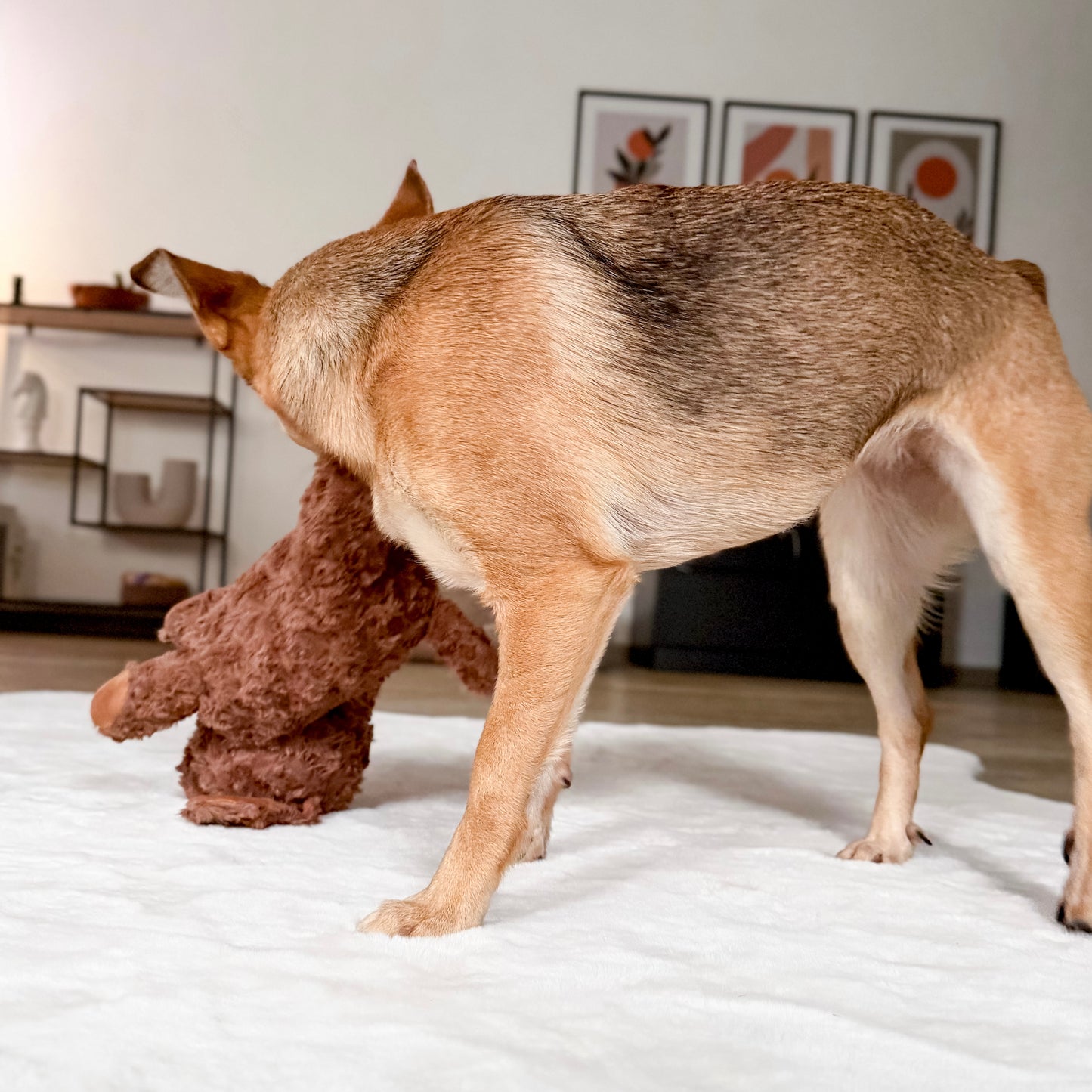 Hundespielzeug Kuschelhund