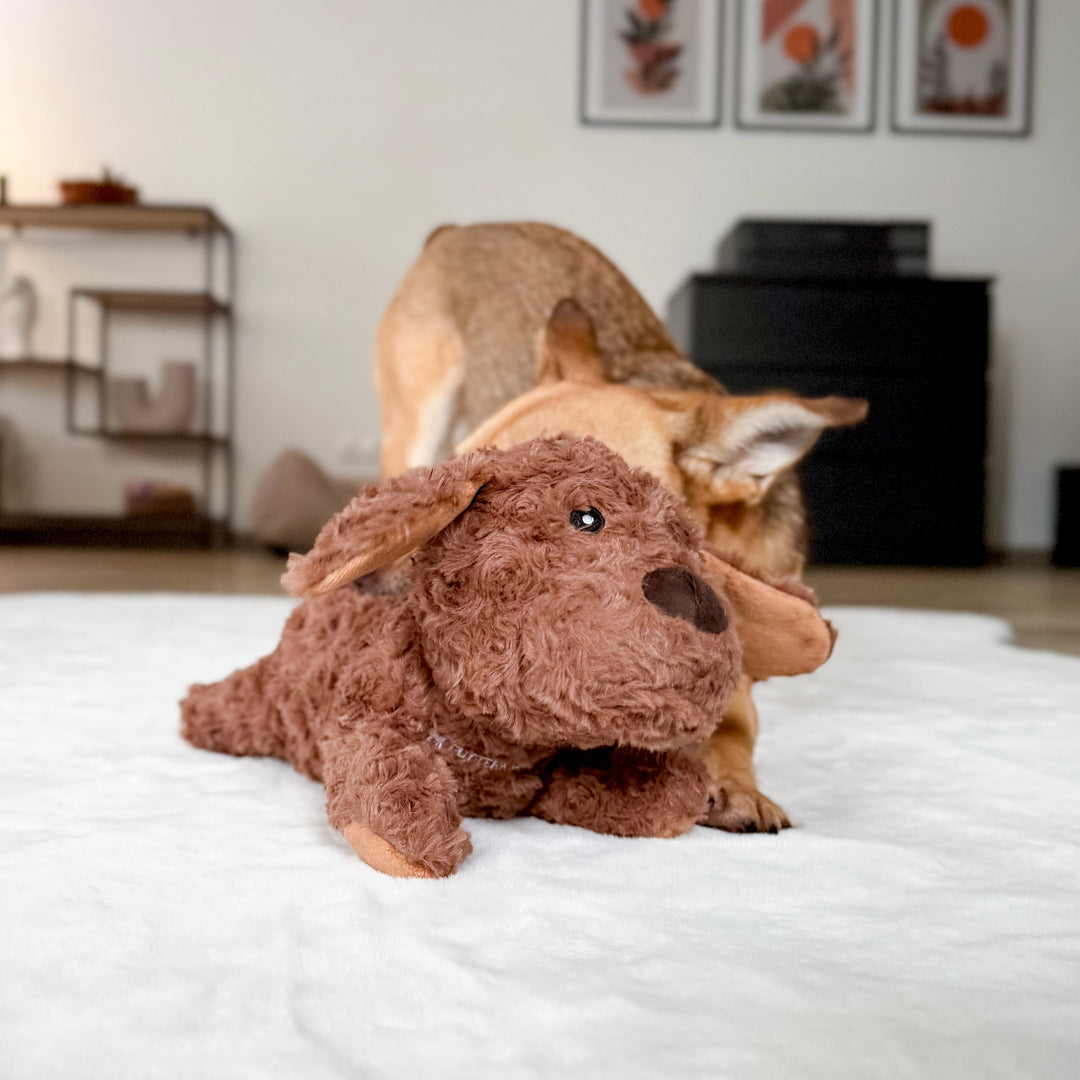 Hundespielzeug Kuschelhund