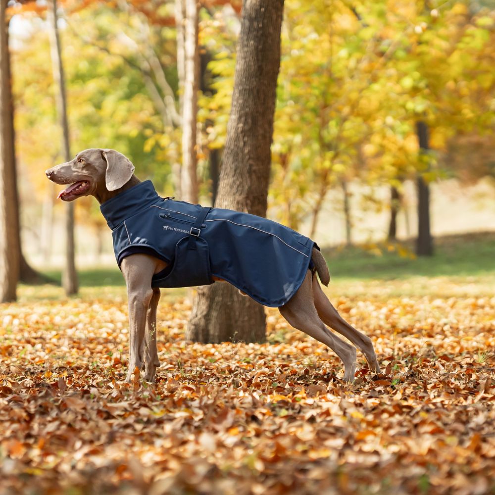Hundemantel Pro+™