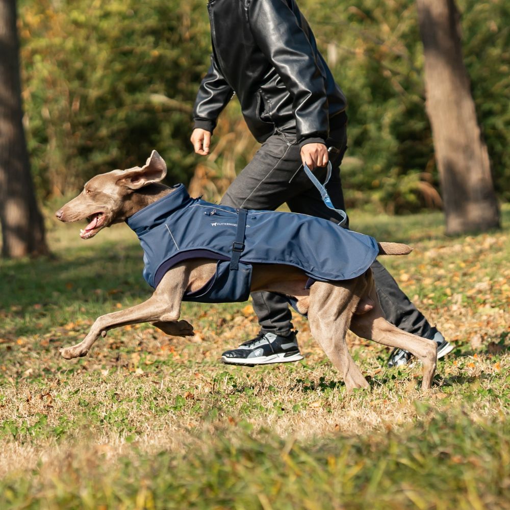 Hundemantel Pro+™