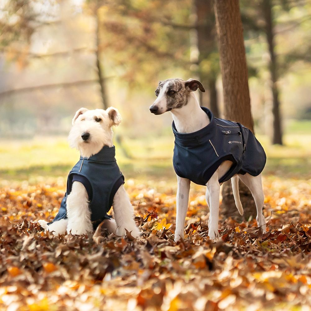 Hundemantel Pro+™