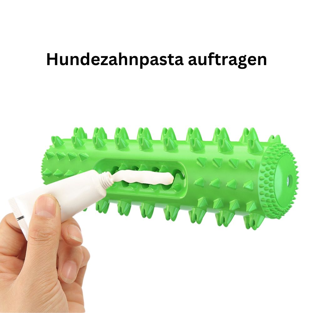 Zahnreinigungsknochen - Hundespielzeug