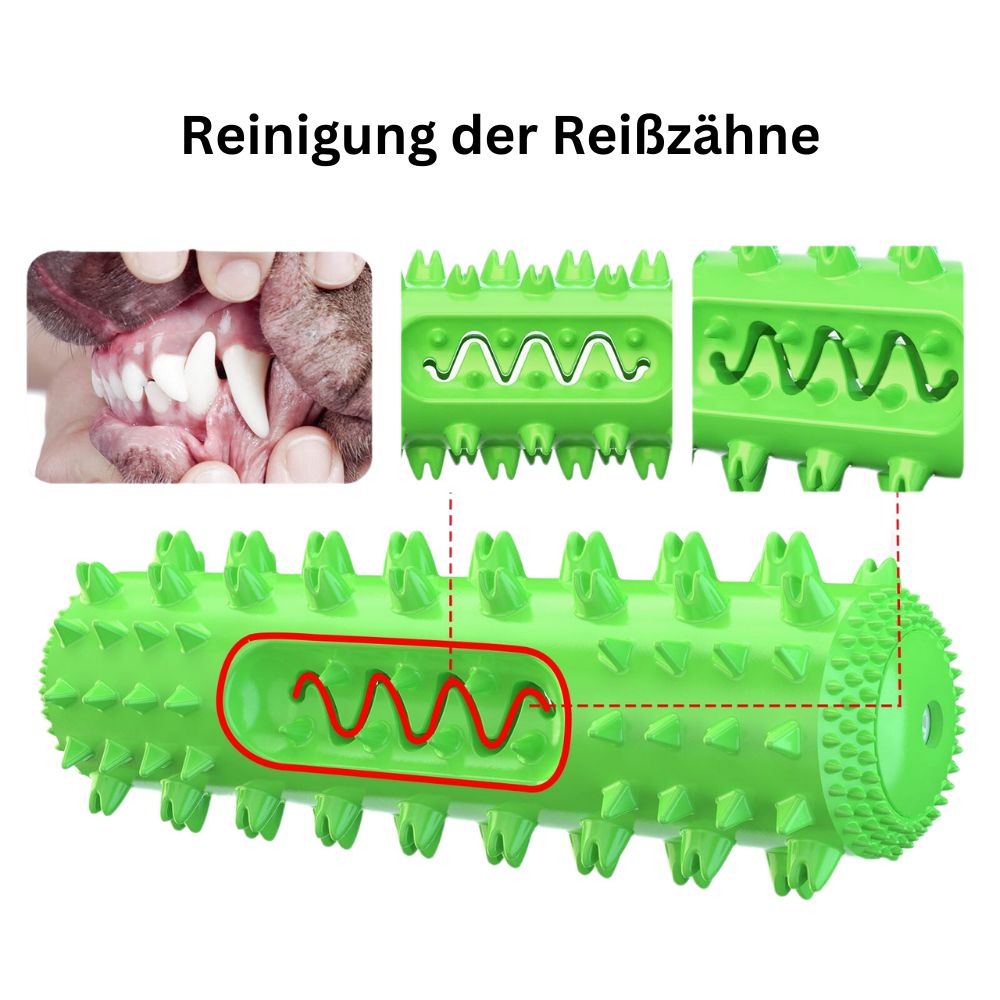 Zahnreinigungsknochen - Hundespielzeug