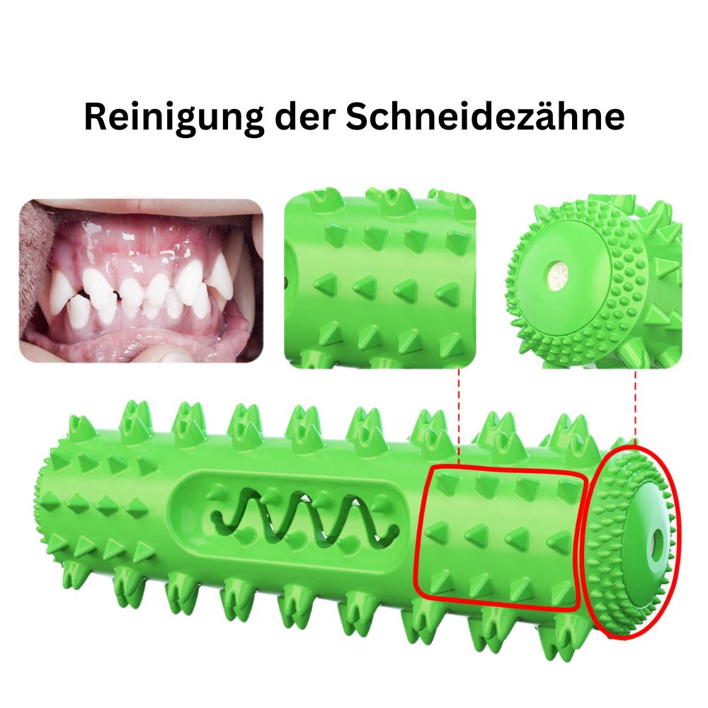 Zahnreinigungsknochen - Hundespielzeug