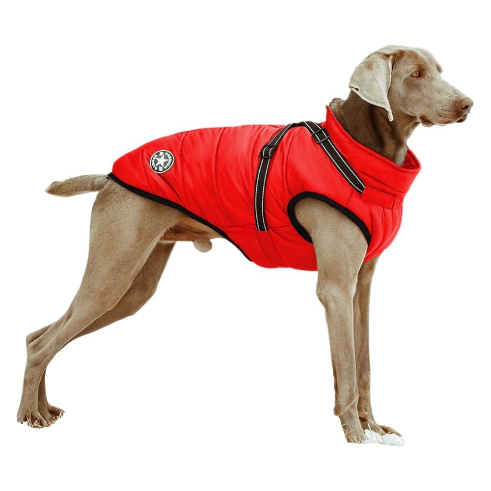 Wasserdichter Hundemantel - Hundejacke Hunde - Regenmantel Hunde - Herbst/Winter