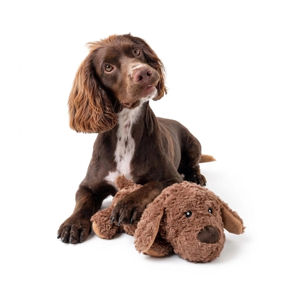 Dog cuddling with plush toy