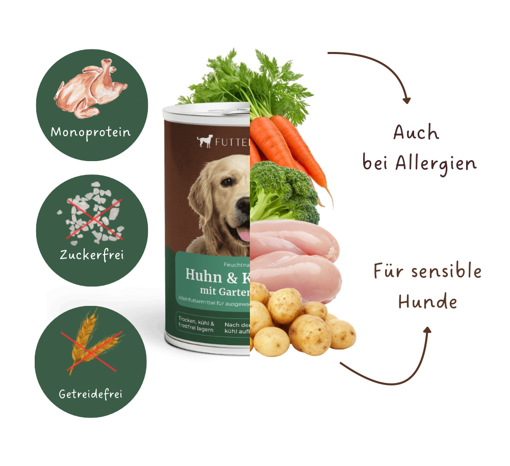 Nassfutter Huhn & Kartoffel