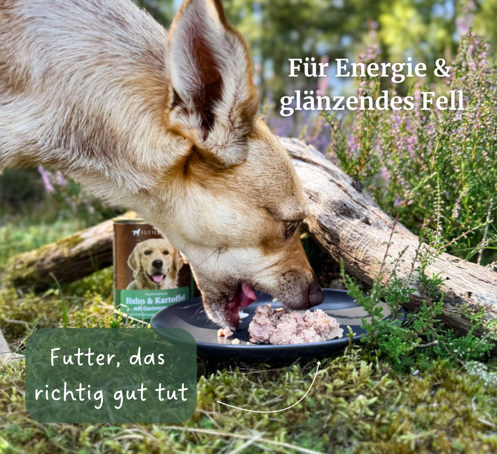 Nassfutter Huhn & Kartoffel