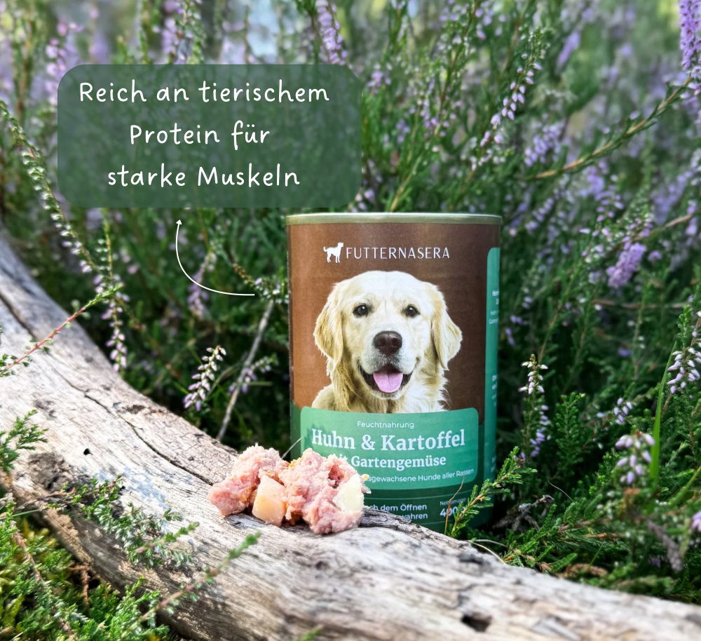 Nassfutter Huhn & Kartoffel