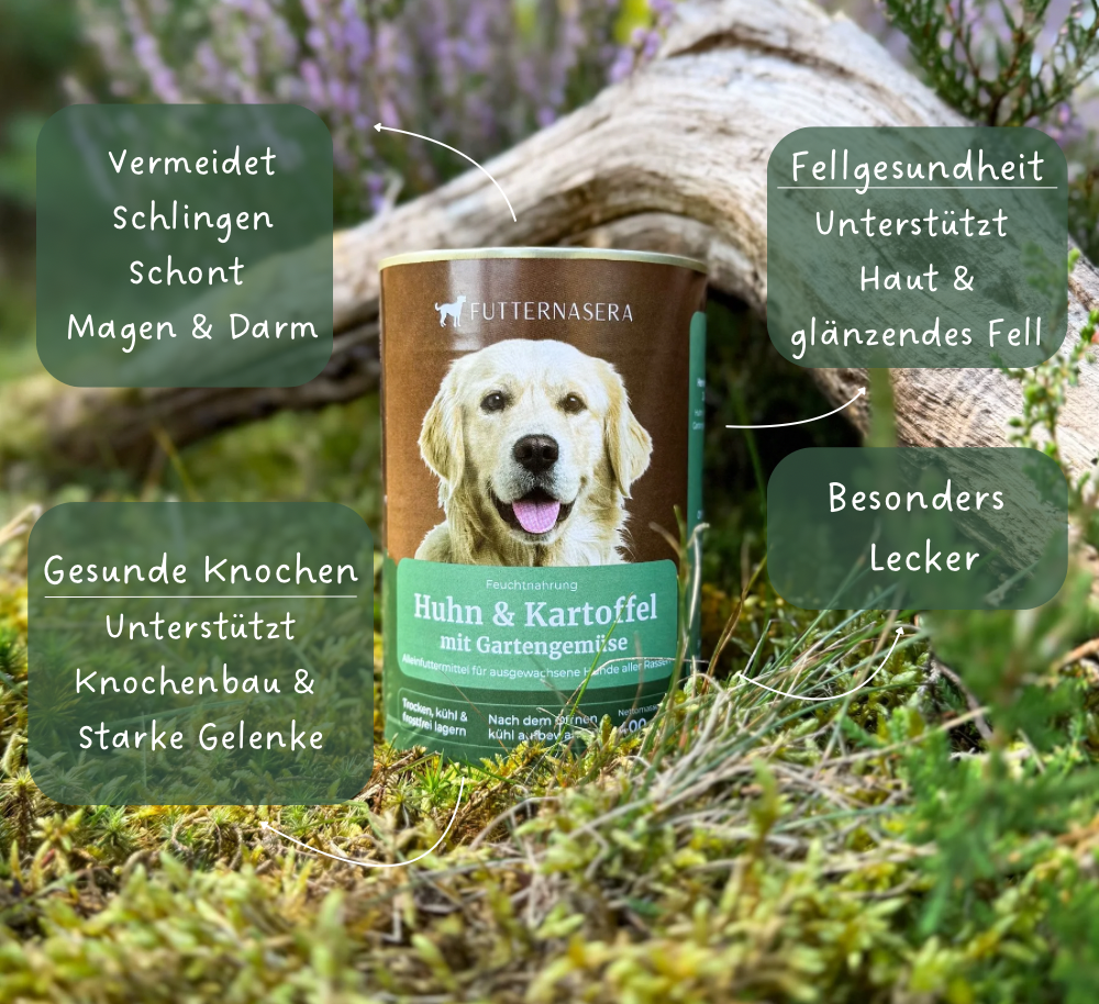 Nassfutter Huhn & Kartoffel