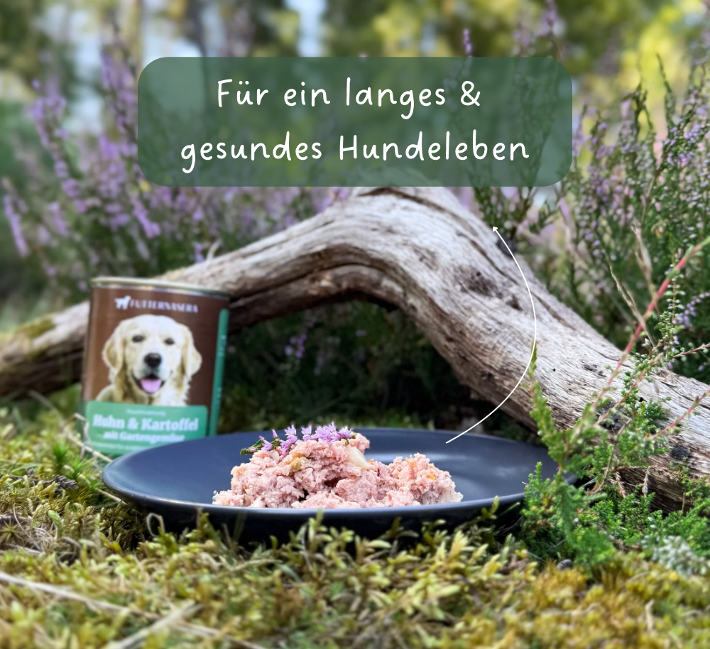 Nassfutter Huhn & Kartoffel
