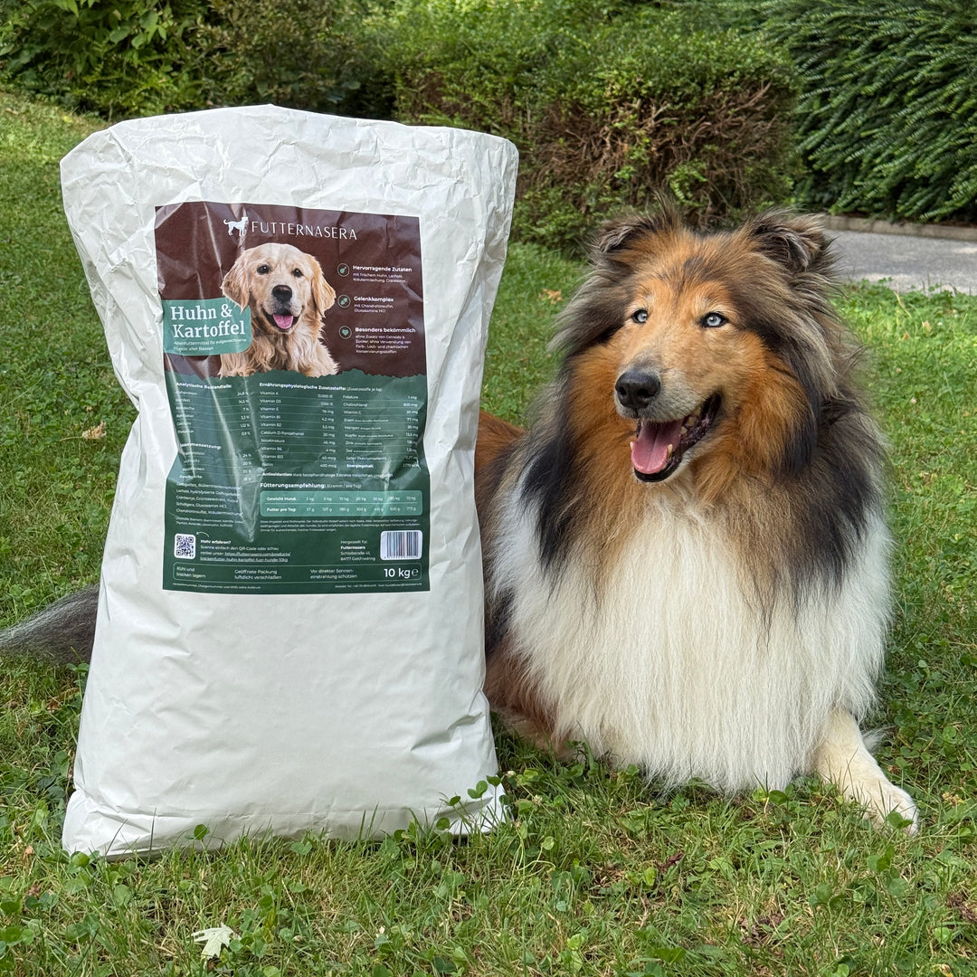 Trockenfutter Huhn & Kartoffel