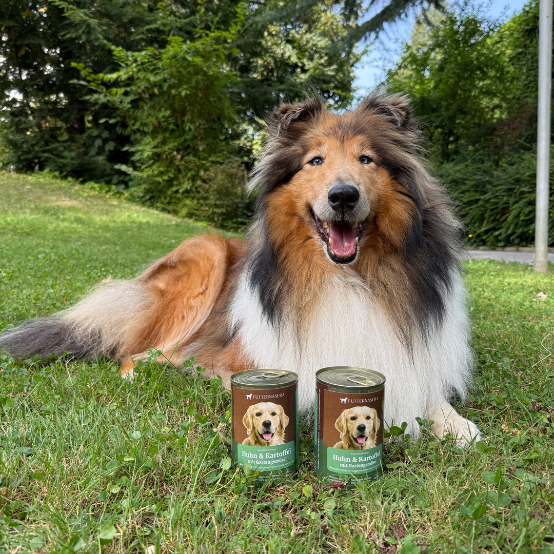 Nassfutter Huhn & Kartoffel