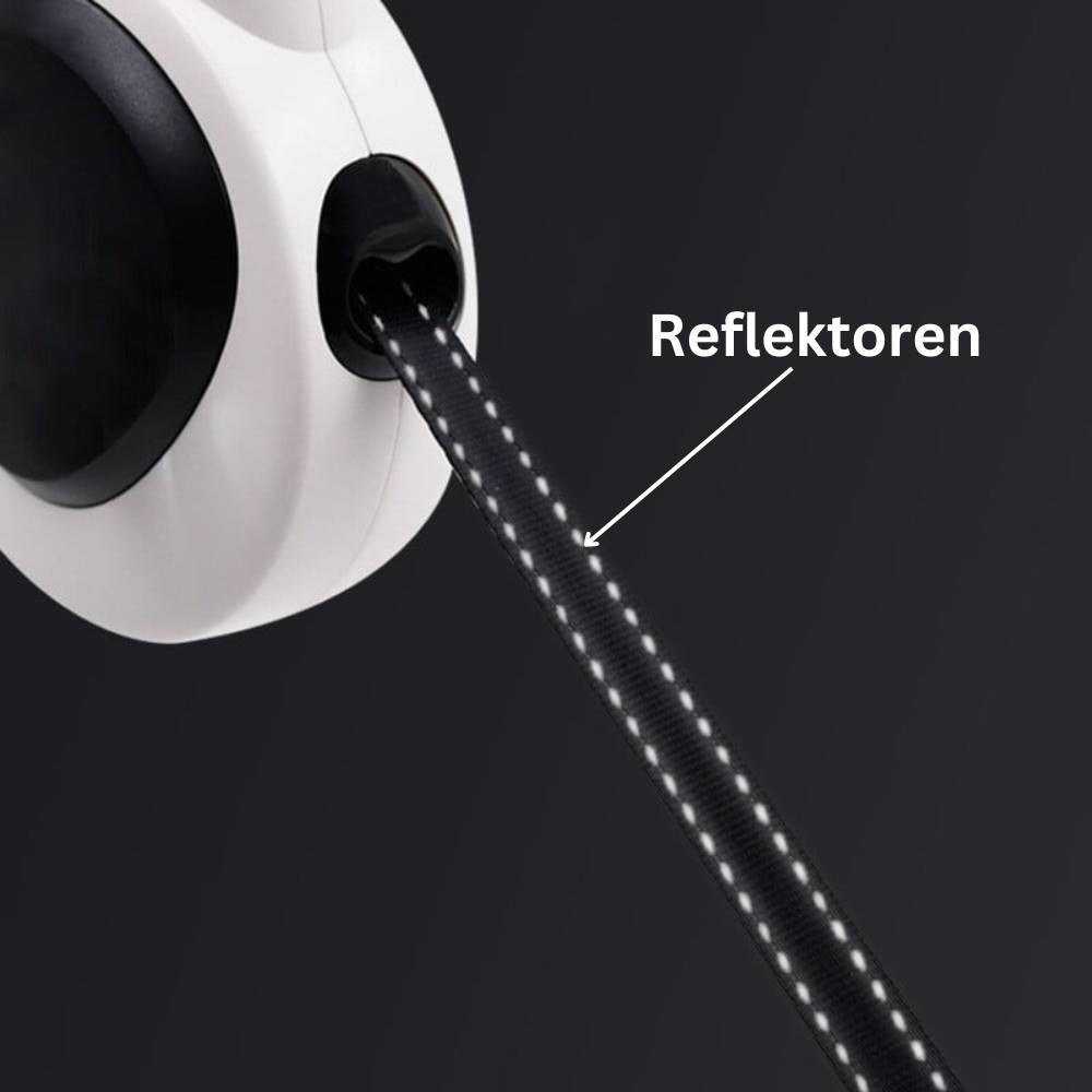 Rollleine 5m - 40kg