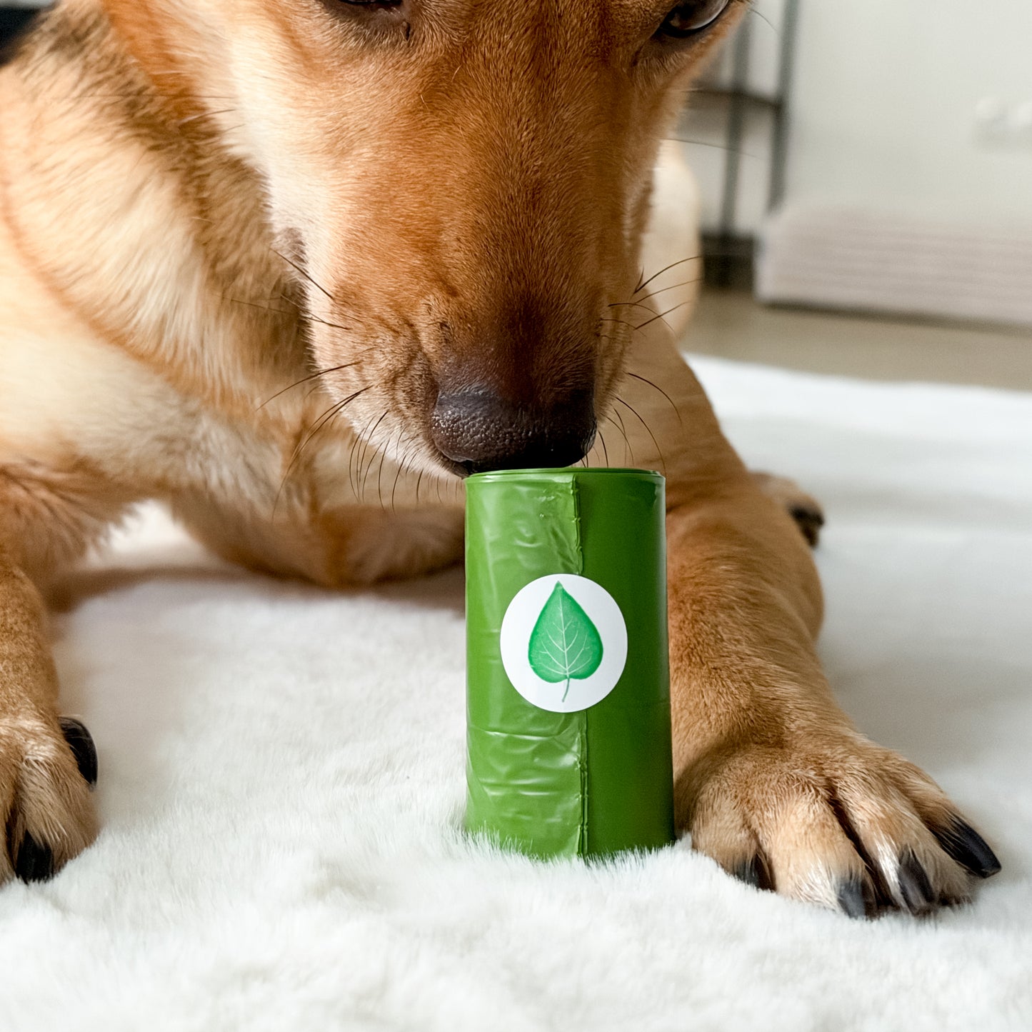 Kotbeutel - 15 Rollen