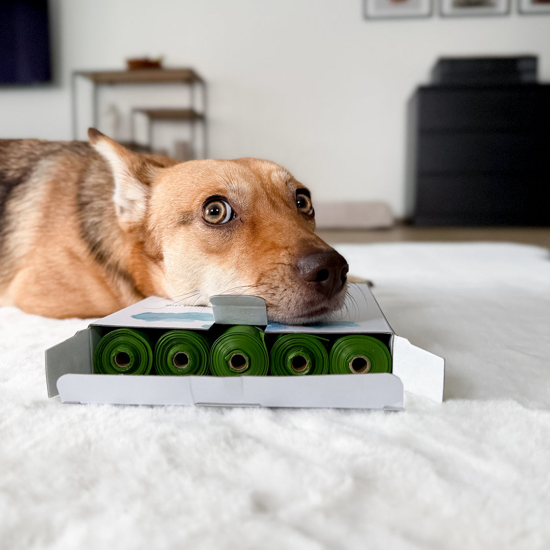 Kotbeutel - 15 Rollen