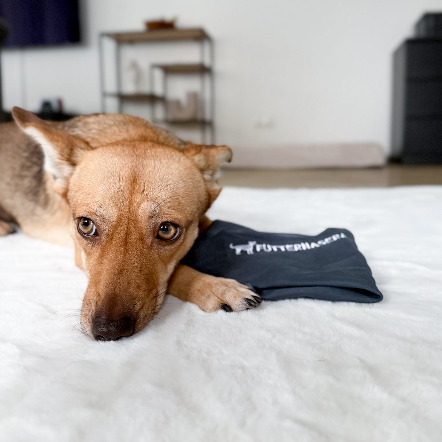 Mikrofasertuch 30x30 cm