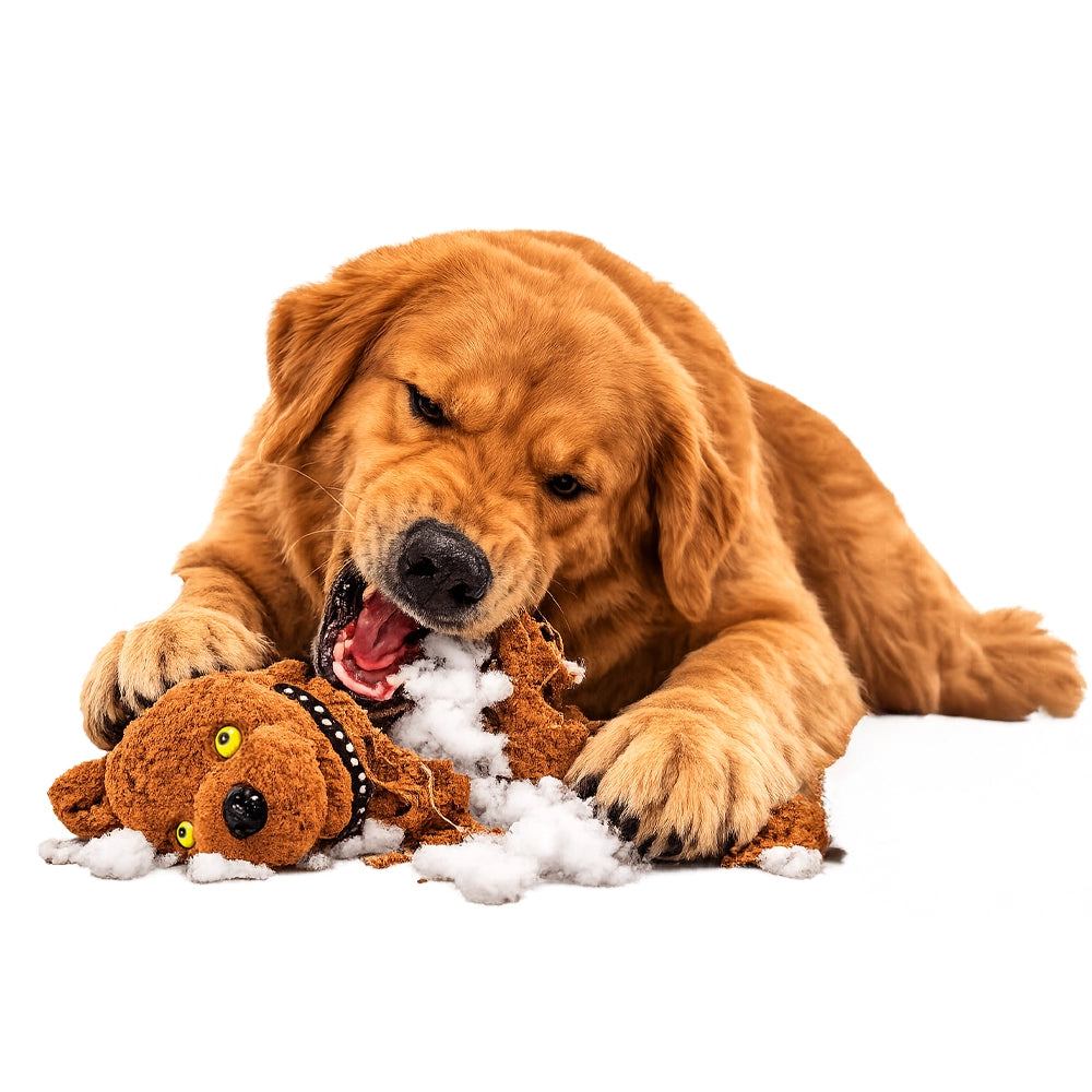 Common dog toy problems