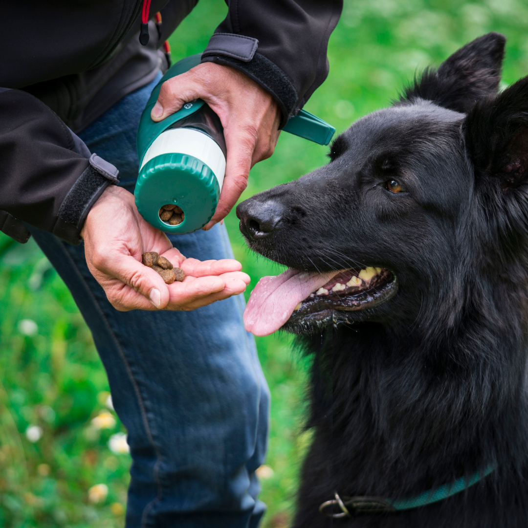 Hundeflasche mit aufklappbarem Napf