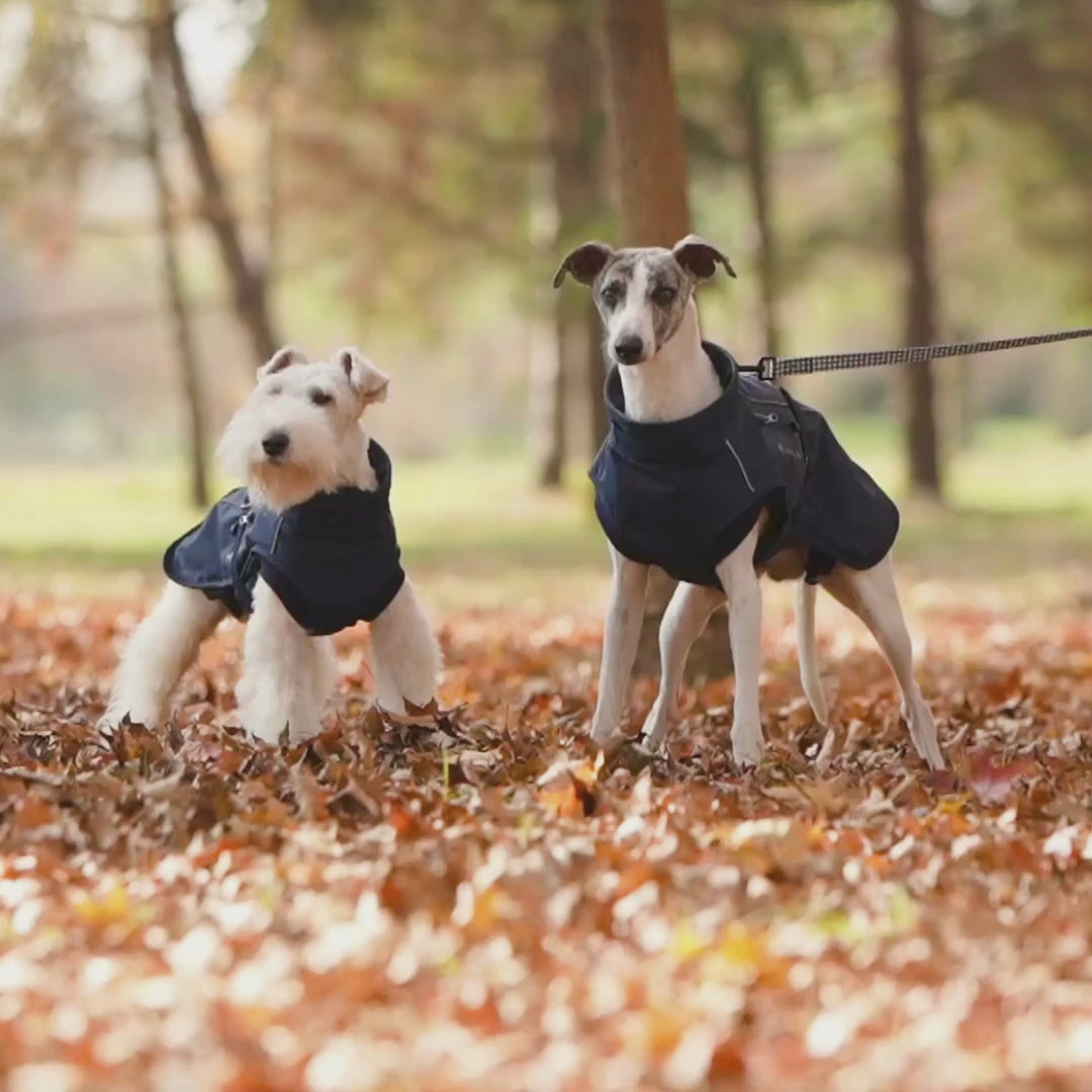 Hundemantel Pro+™